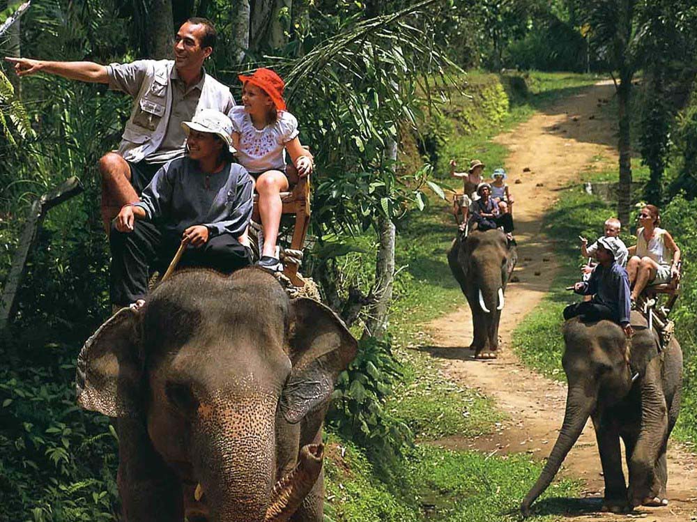 The Elephant Ride